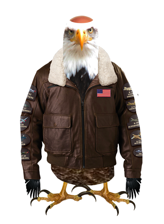 mock-eagle